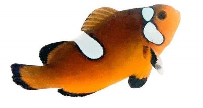 Clownfish Mochaccino
