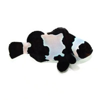 SA Black Snowflake Phantom