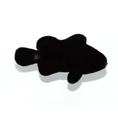 Clownfish Black Midnight