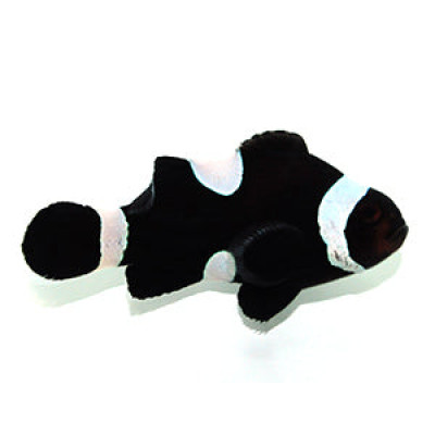 Clownfish Black Misbar