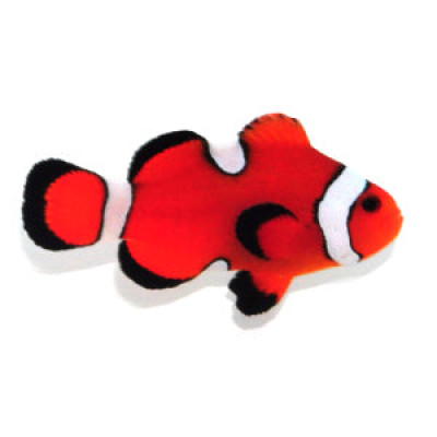 Clownfish Orange Misbar
