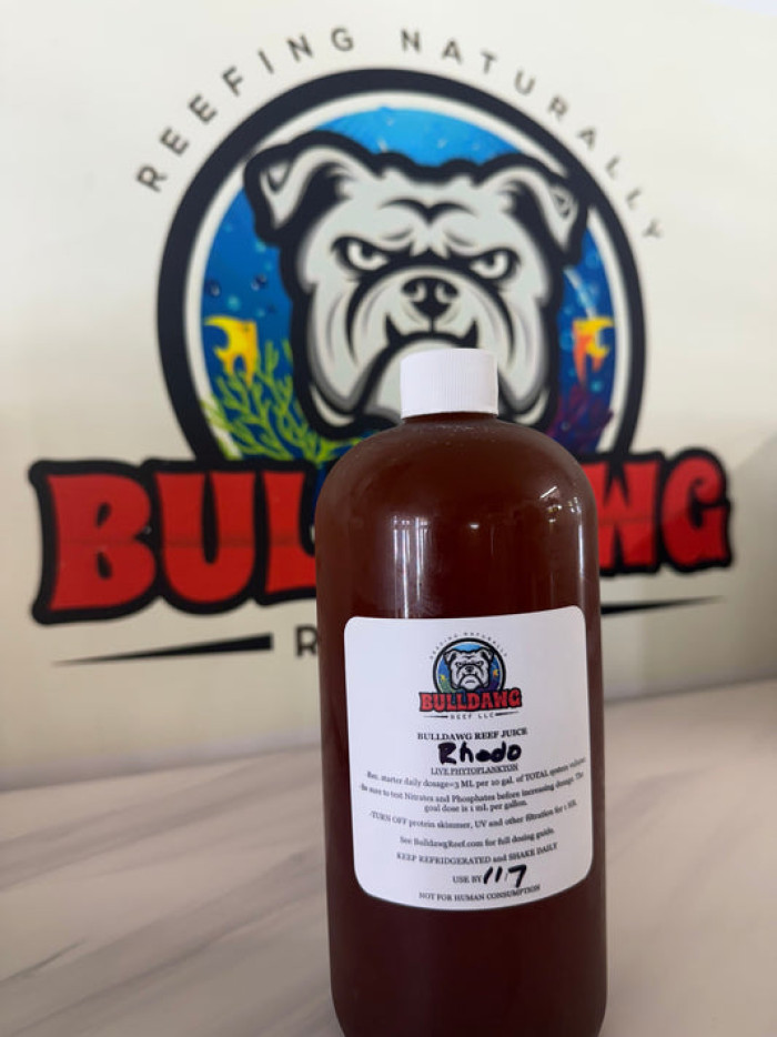 Bulldawg Reef Juice - Rhodomonas salinas