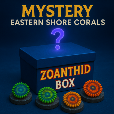 Mystery Zoanthid Box