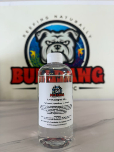 Copepod Mix - Apocalypse p., Tig. c., and Tisbe b.