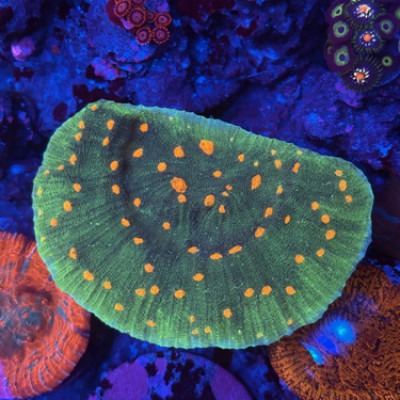 Space Invader Chalice