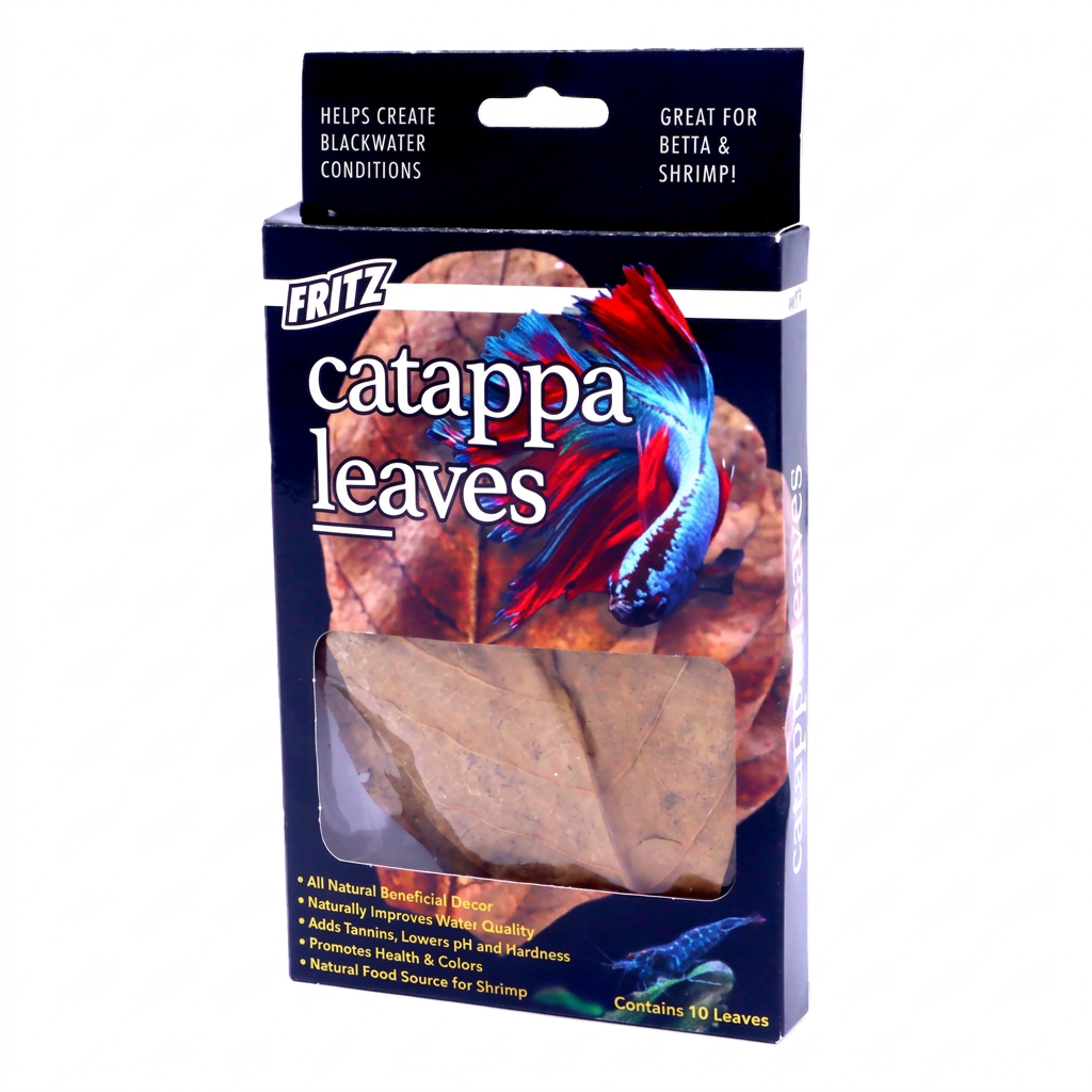 Fritz Catappa Leaves 10PK