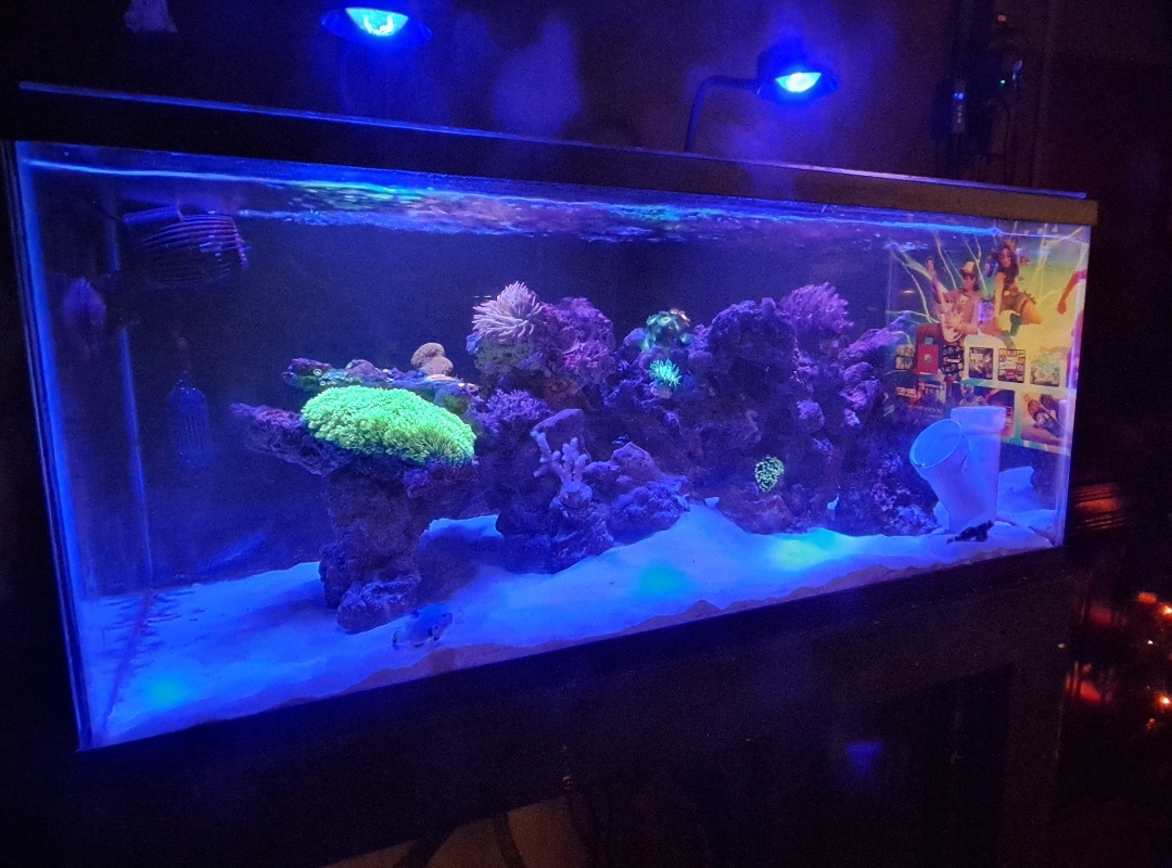Tank Image