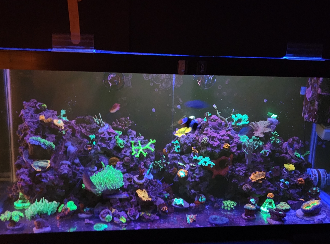 Tank Image