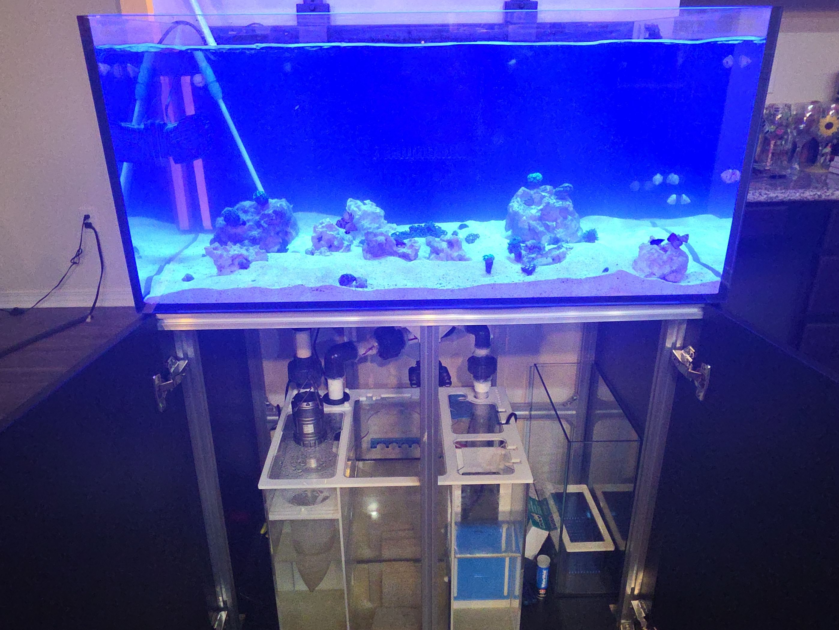 Tank Image