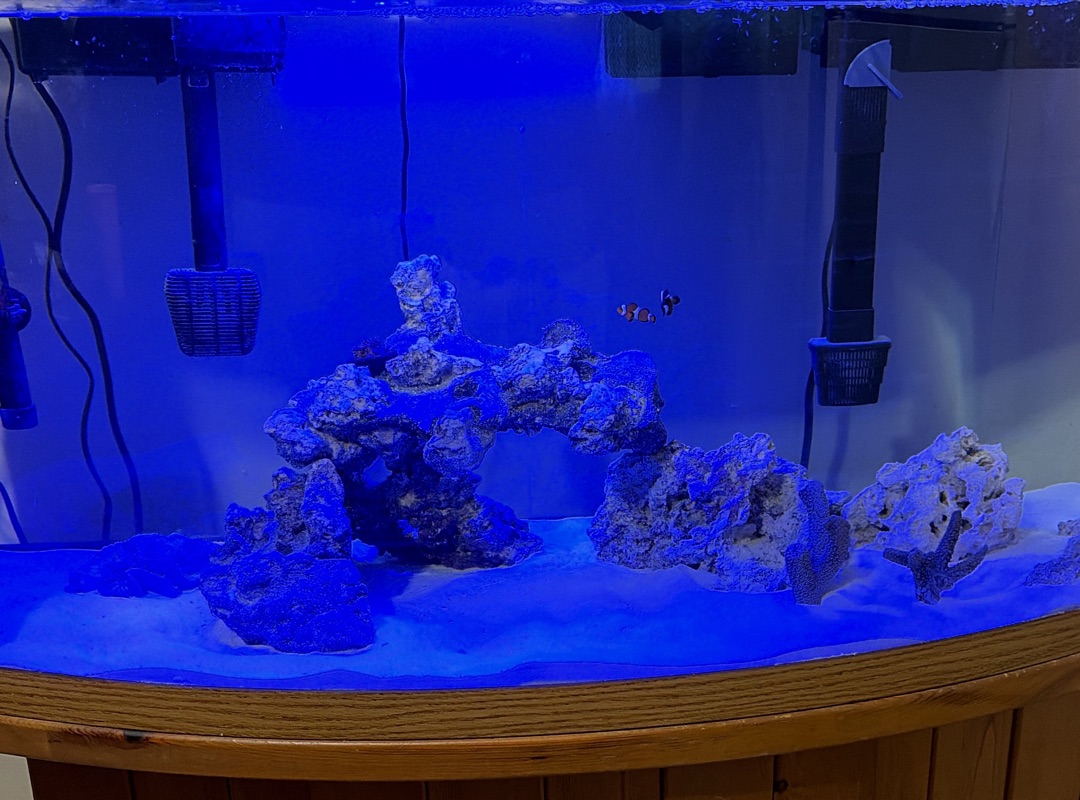 Tank Image