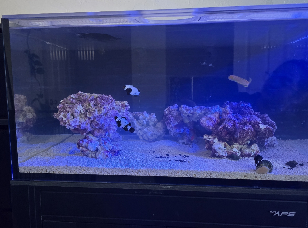 Tank Image