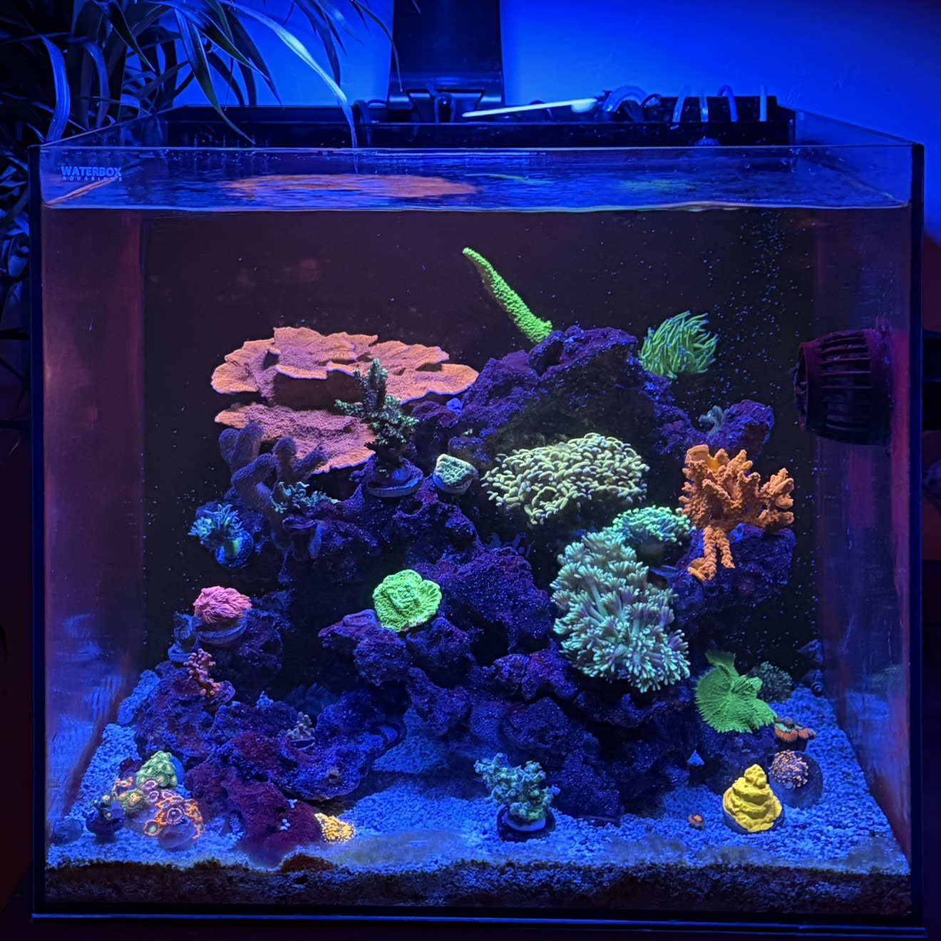 Tank Image