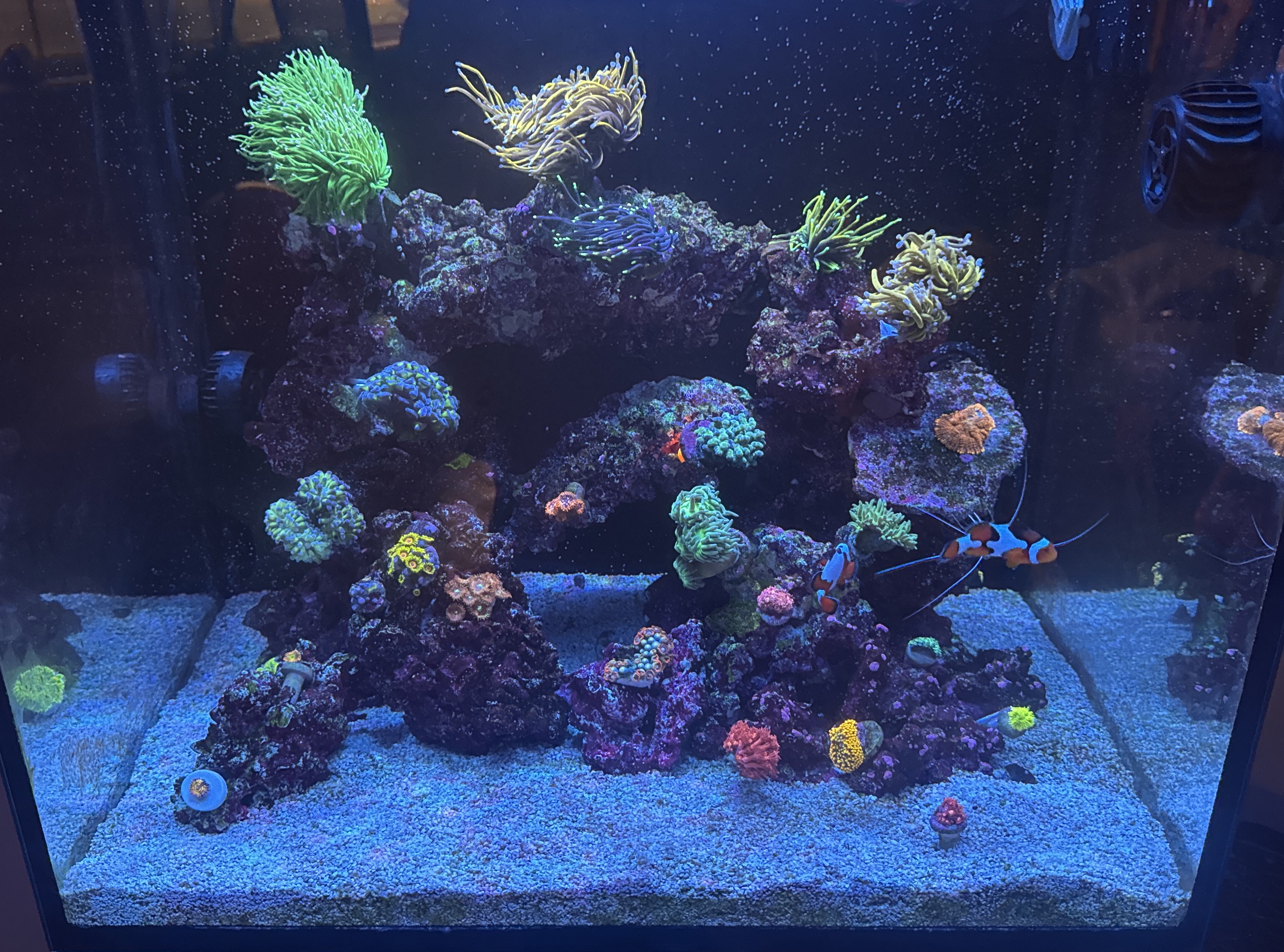 Tank Image