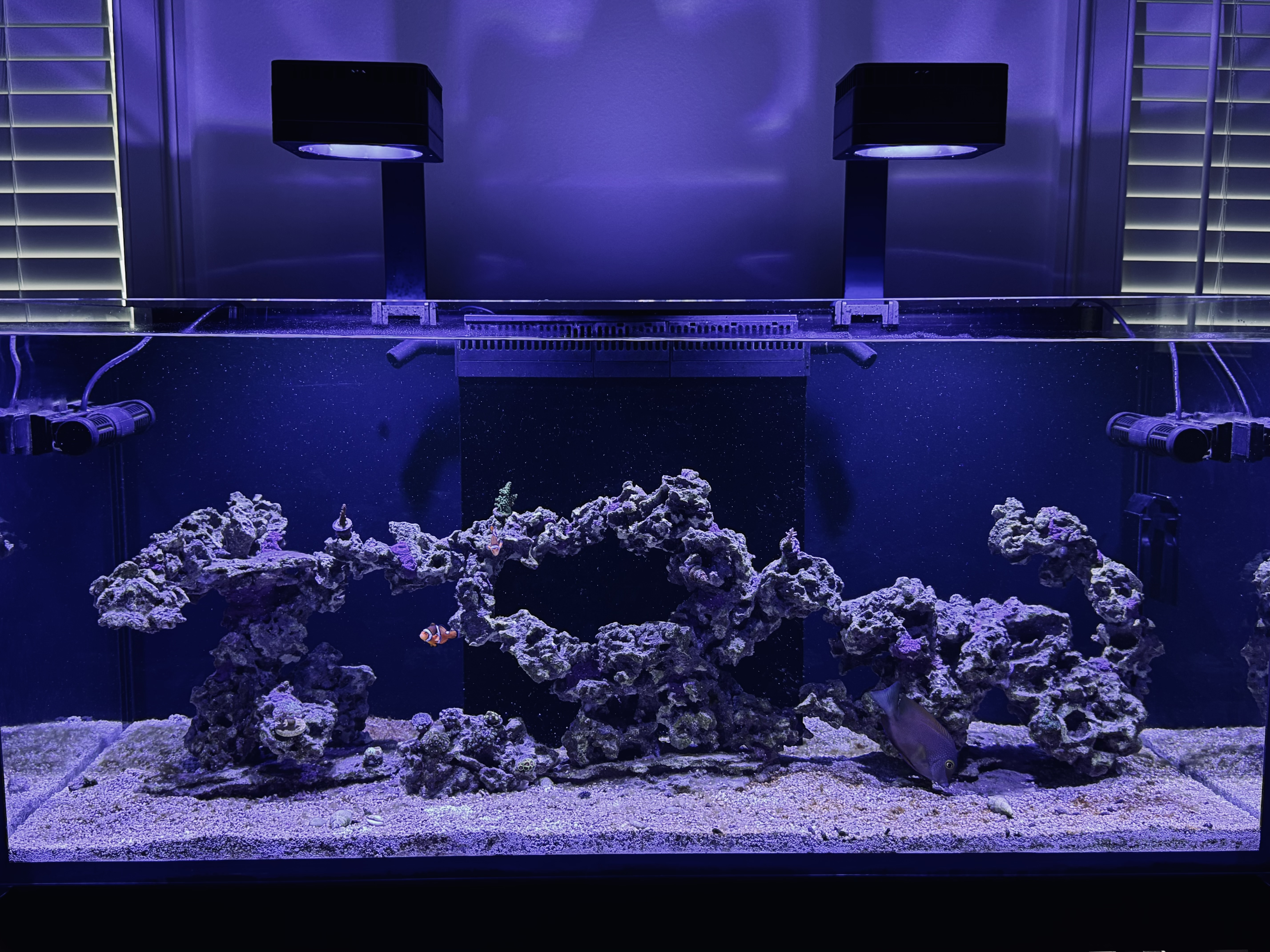 Tank Image