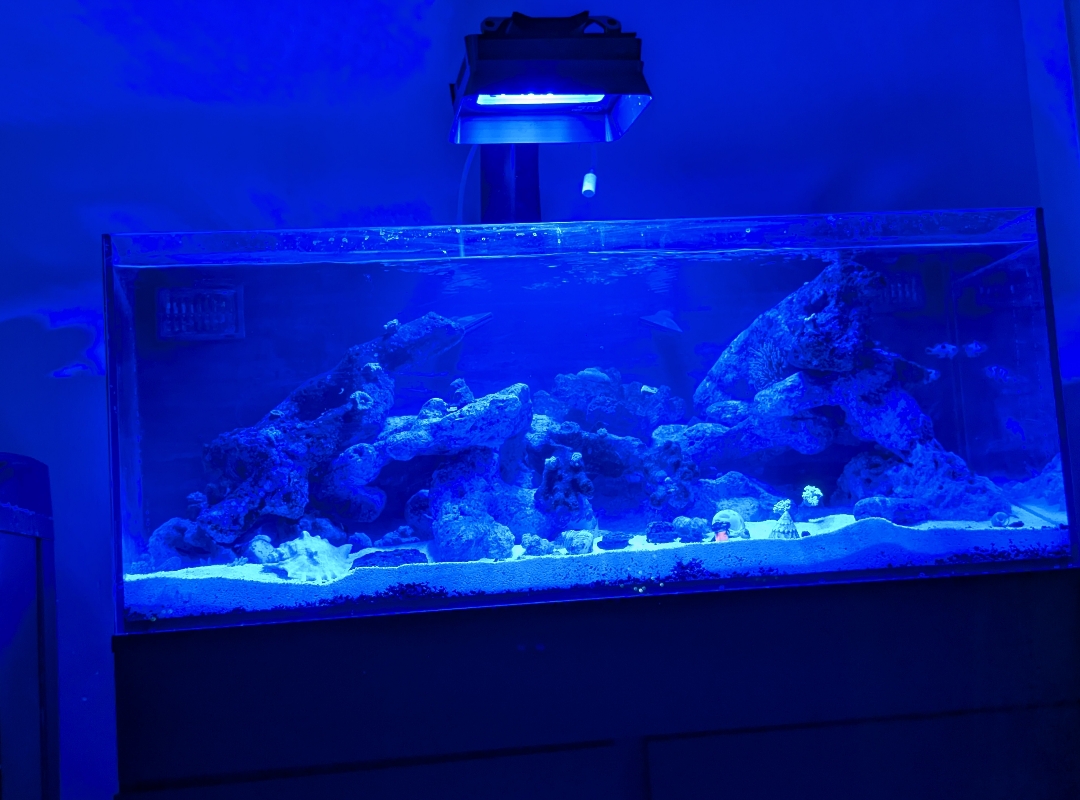 Tank Image