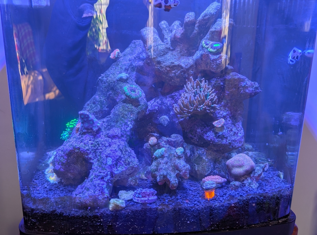Tank Image