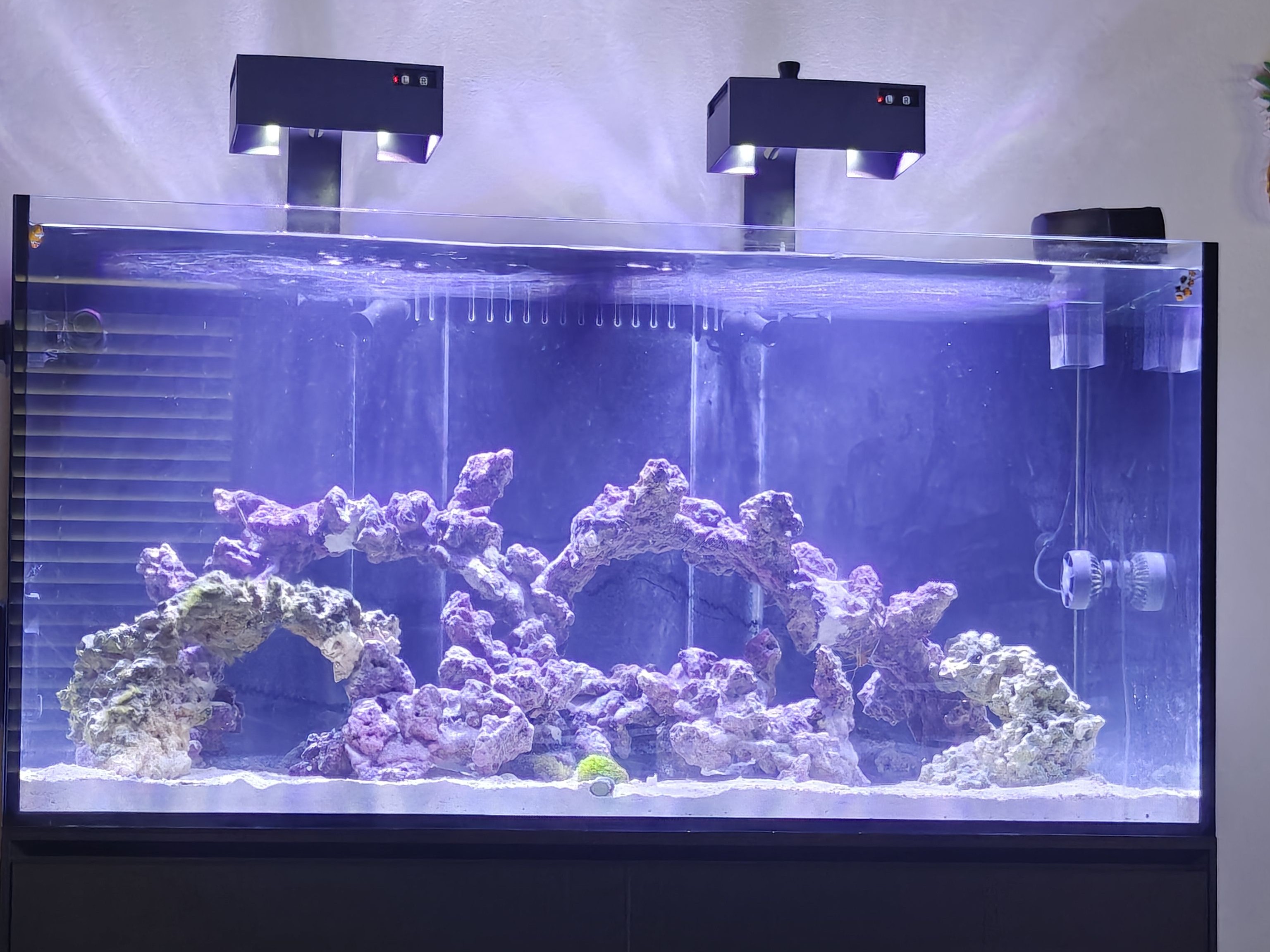 Tank Image