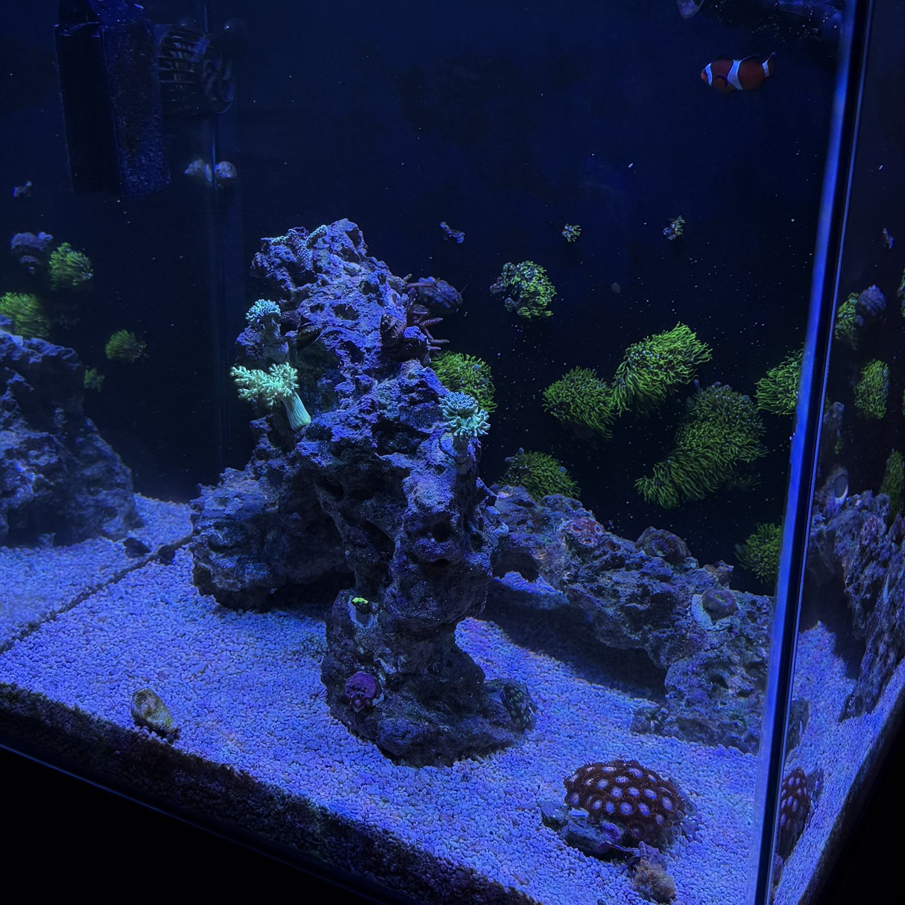 Tank Image