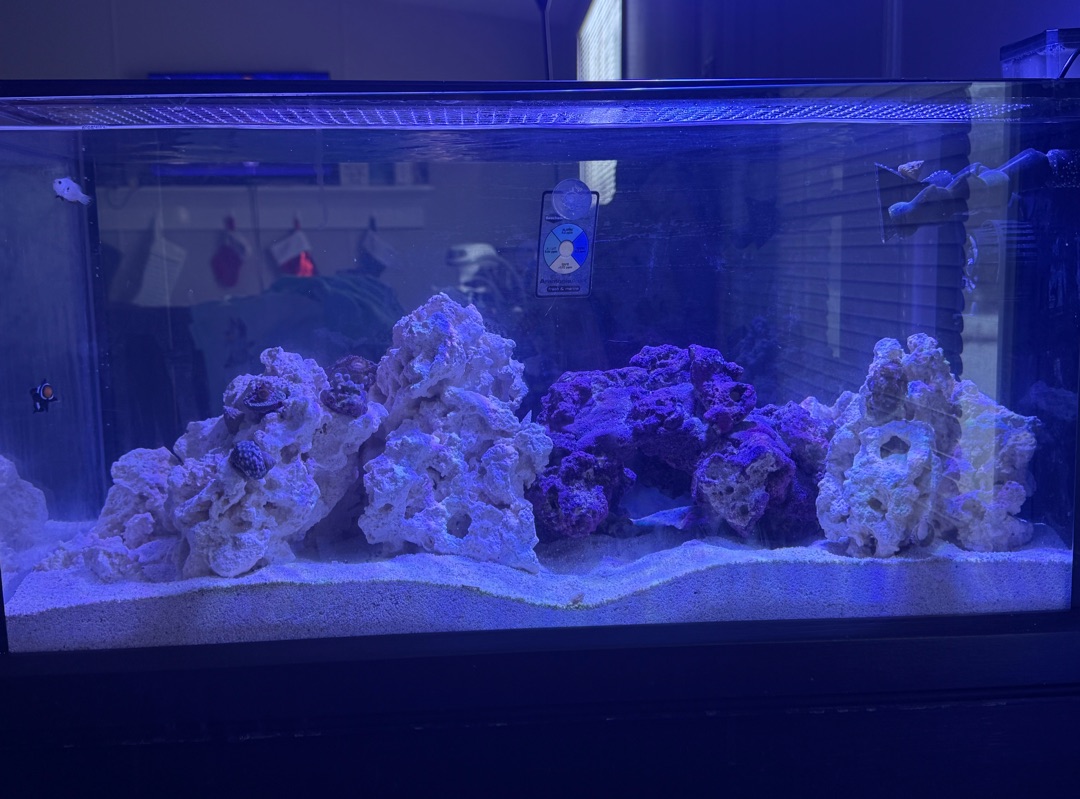 Tank Image