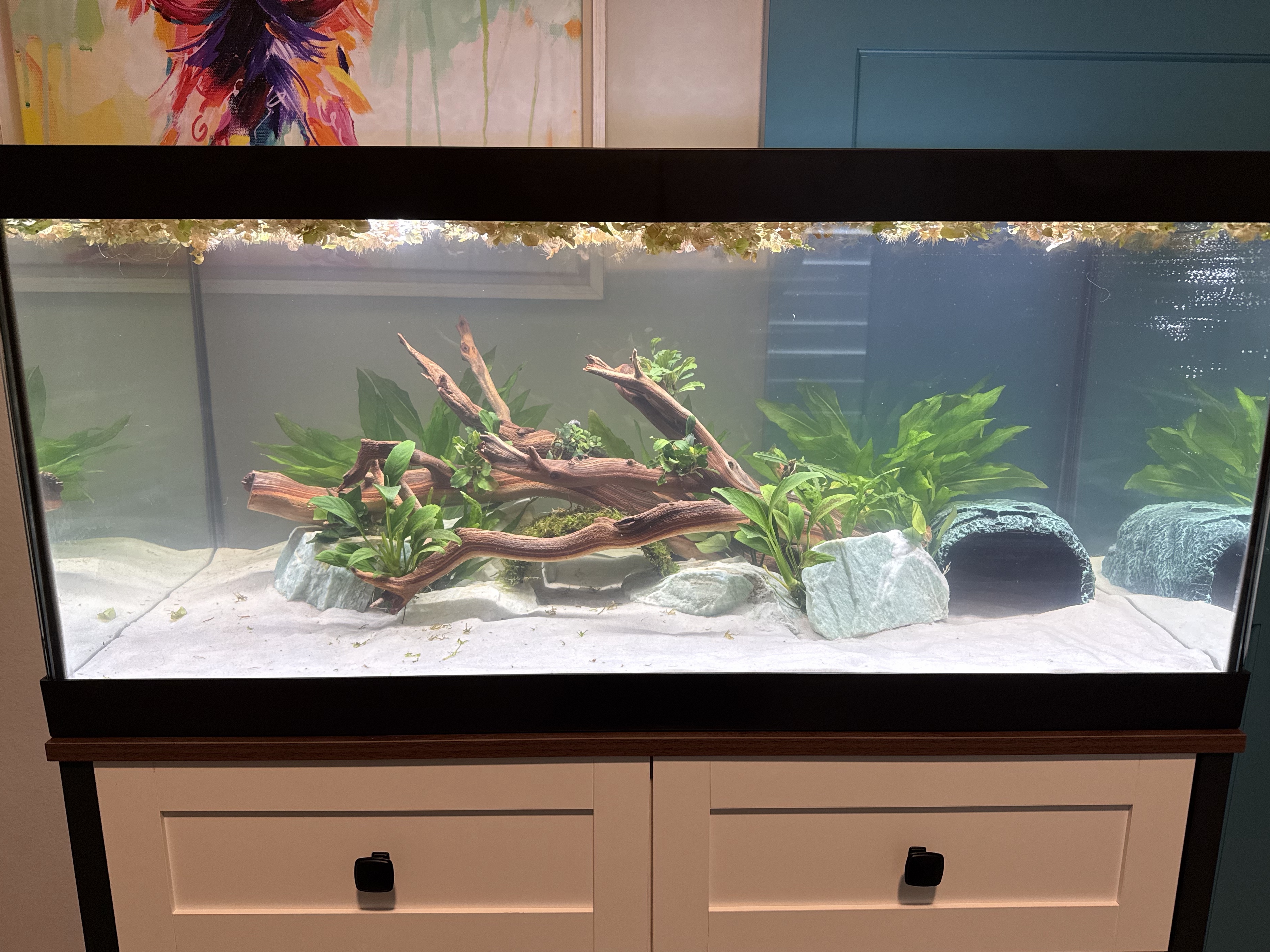 Tank Image
