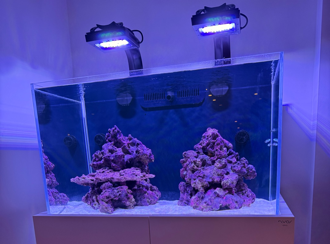Tank Image
