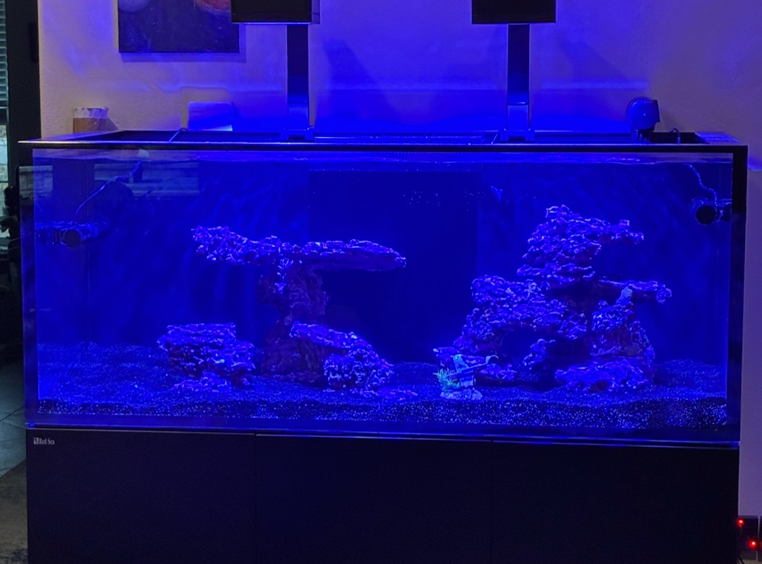 Tank Image