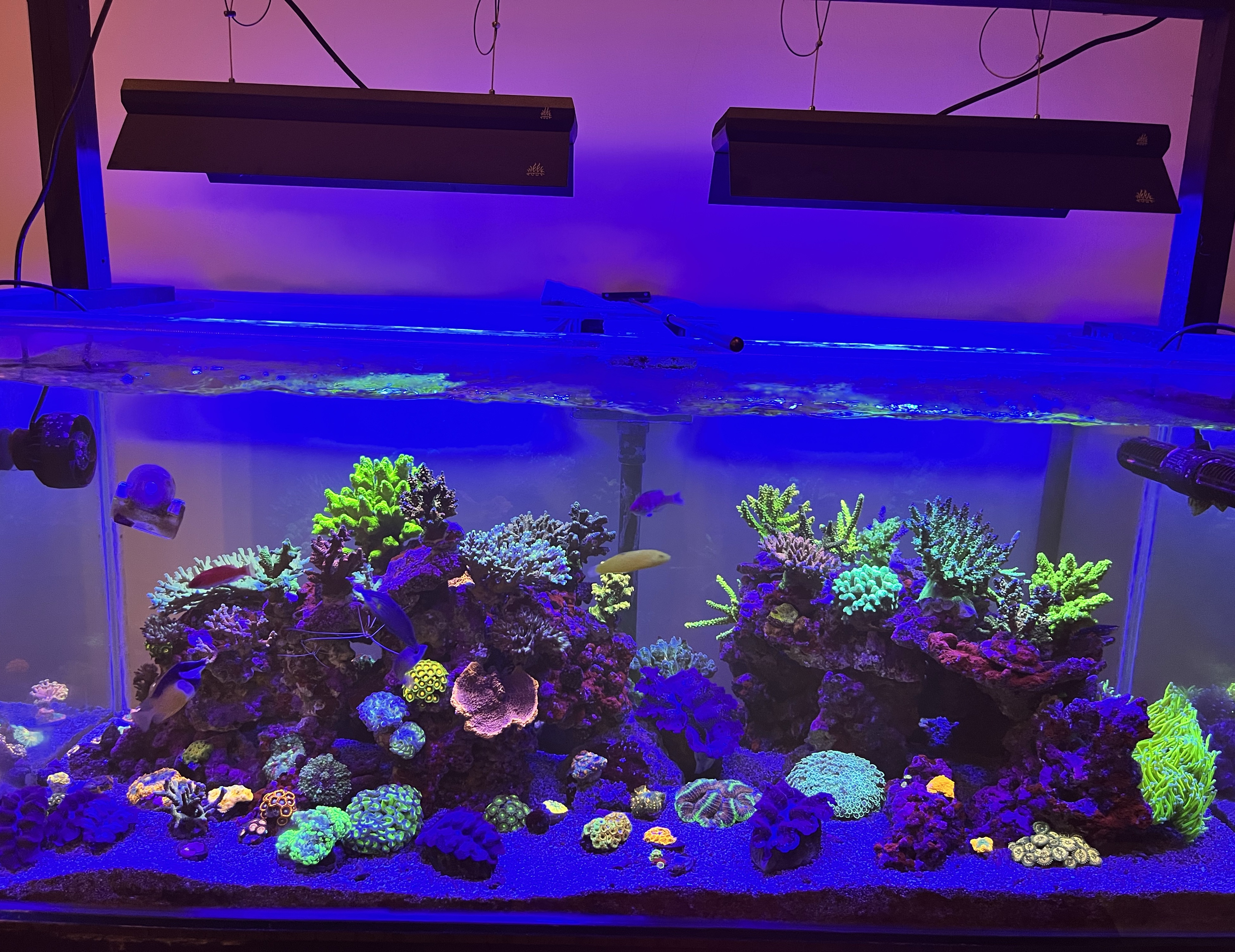 Tank Image