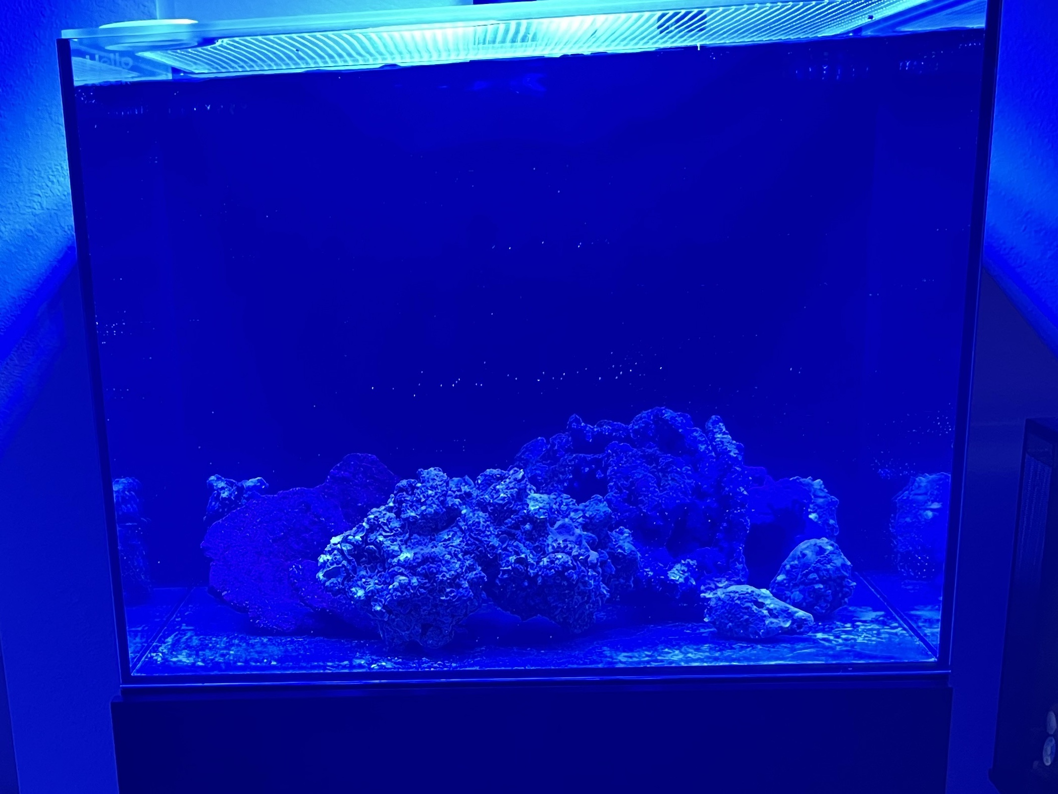 Tank Image