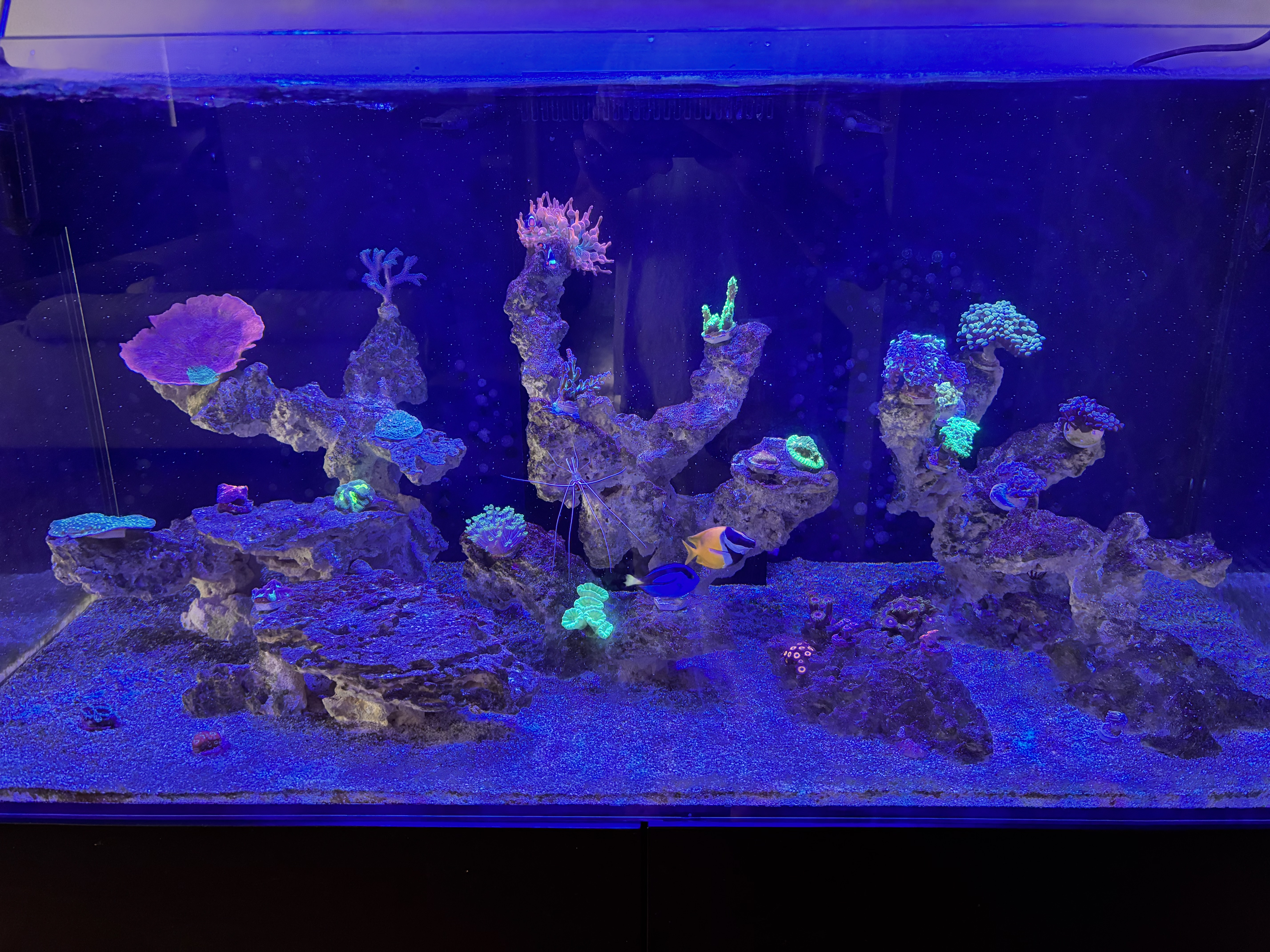 Tank Image