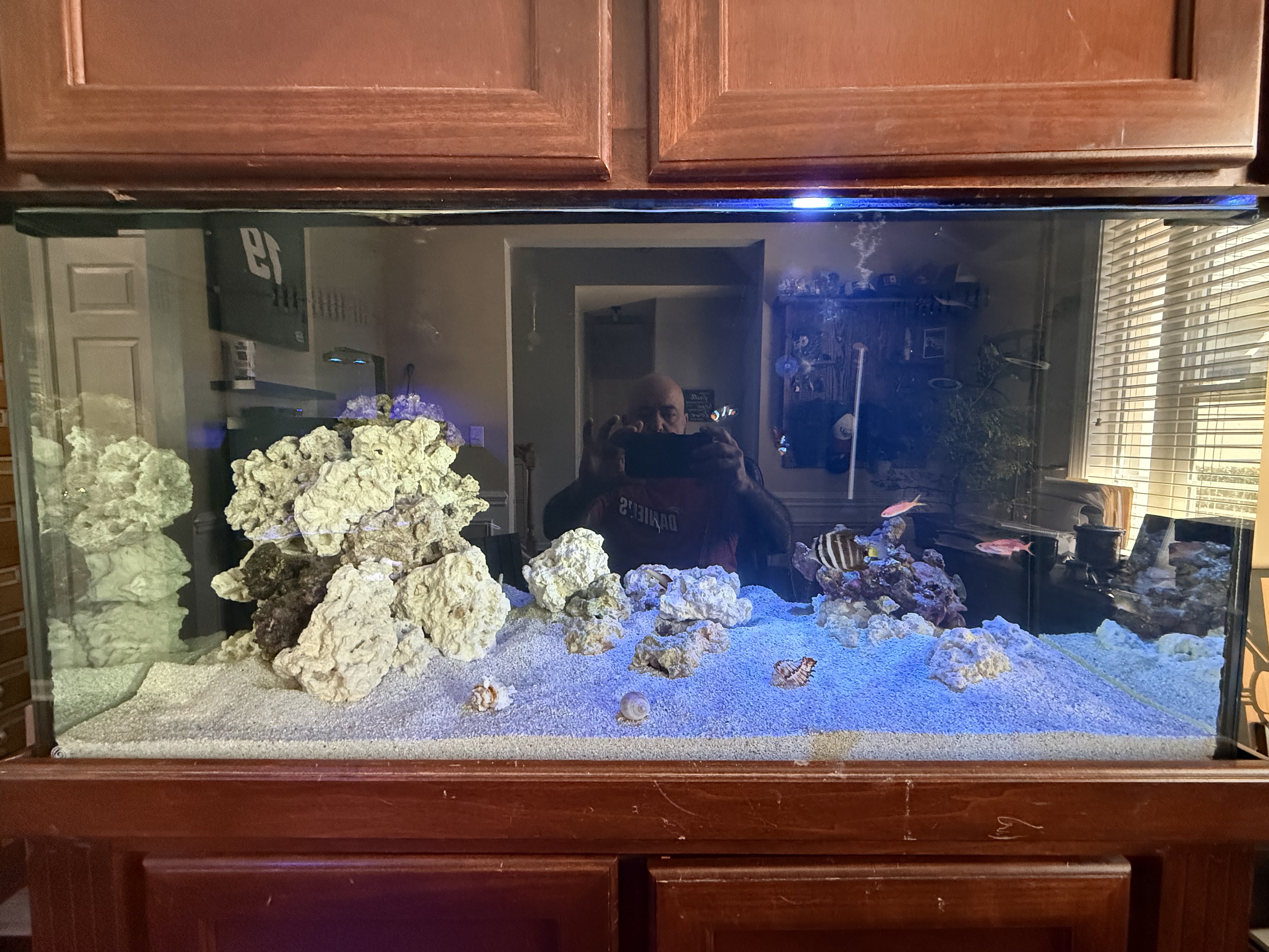 Tank Image
