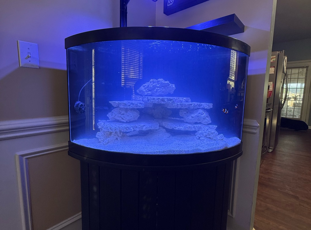 Tank Image