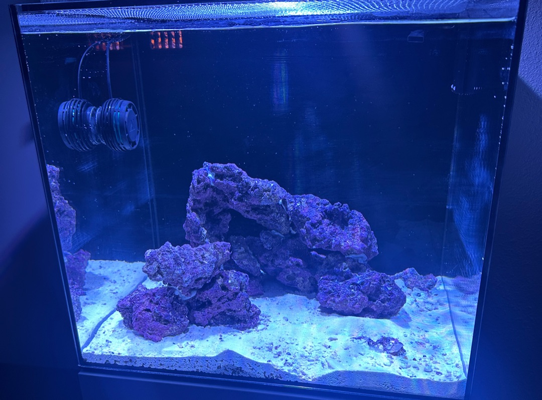 Tank Image