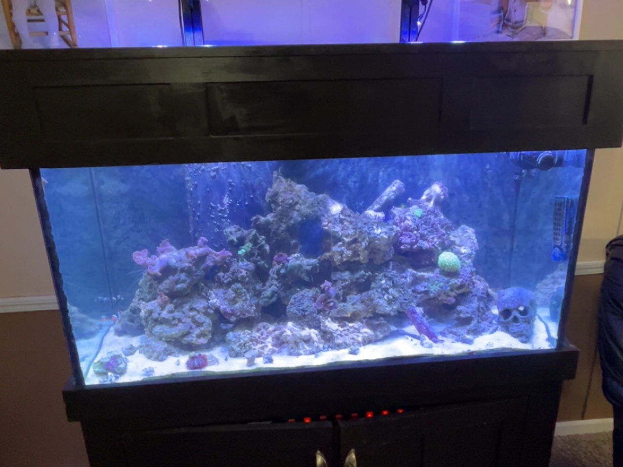 Tank Image