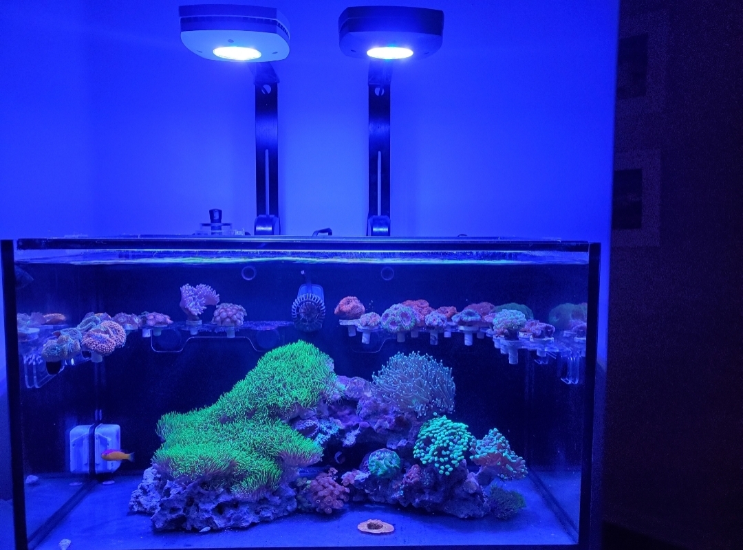 Tank Image