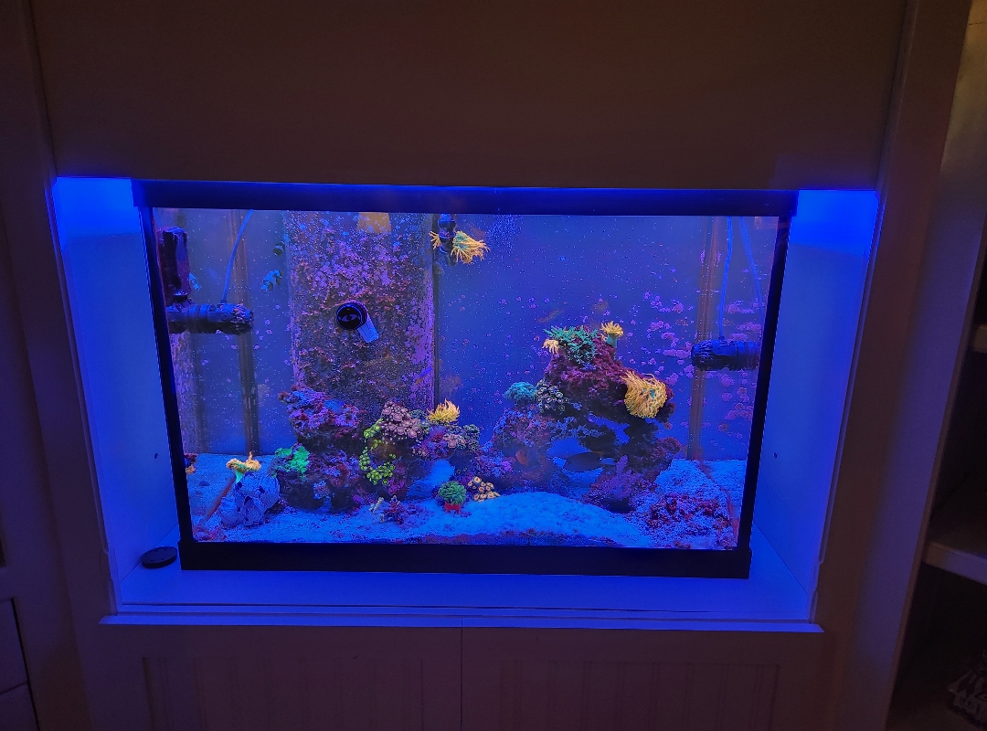 Tank Image