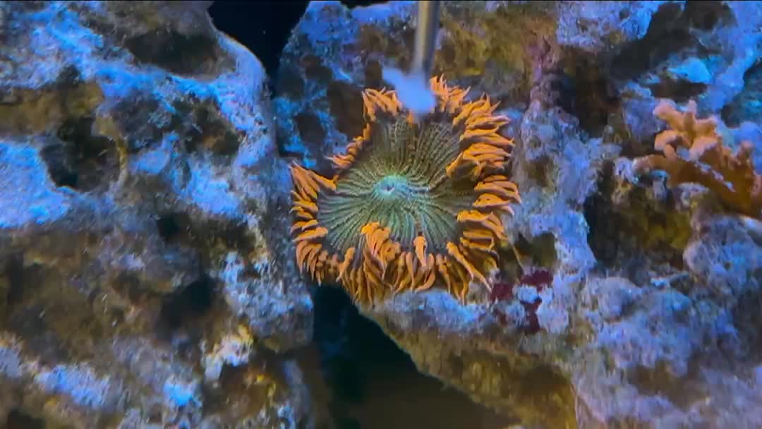 ReefBay post