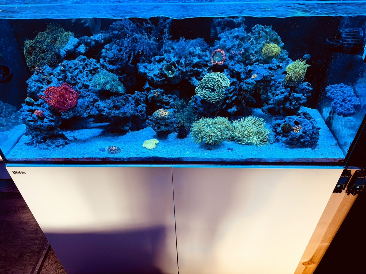 Tank Image