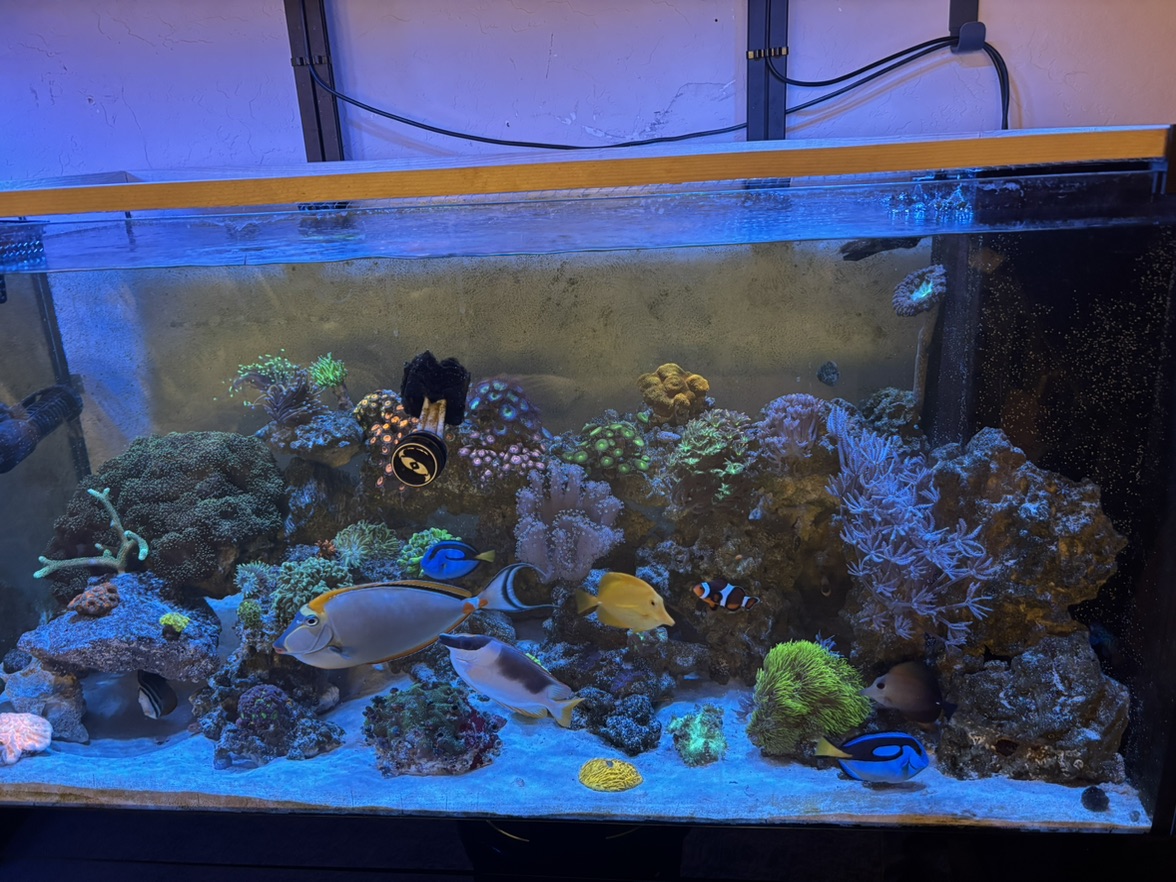 Tank Image