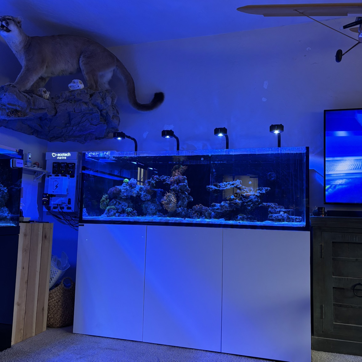 Tank Image