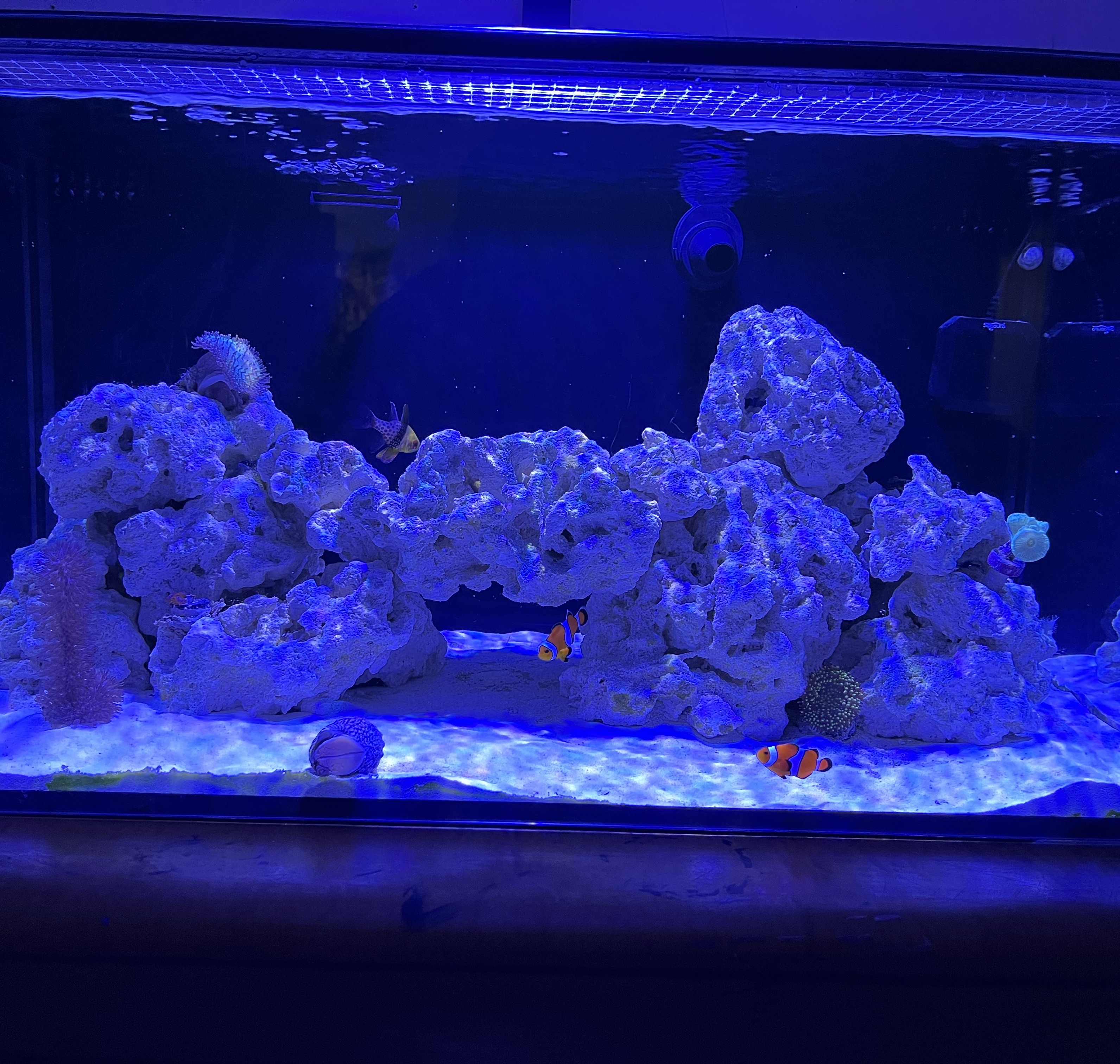 Tank Image