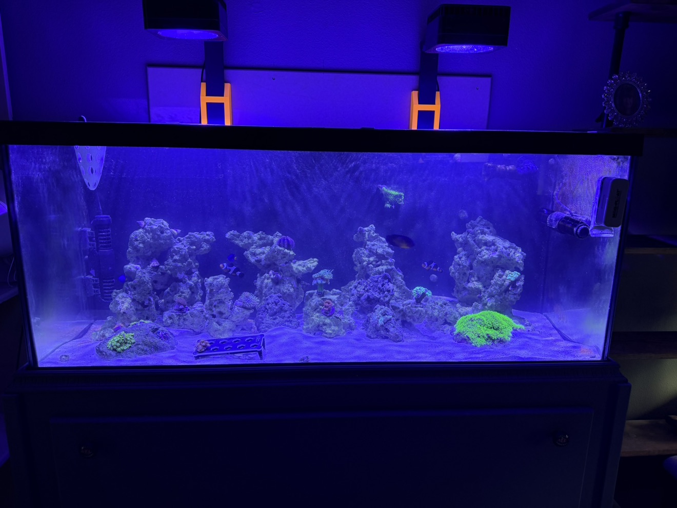 Tank Image