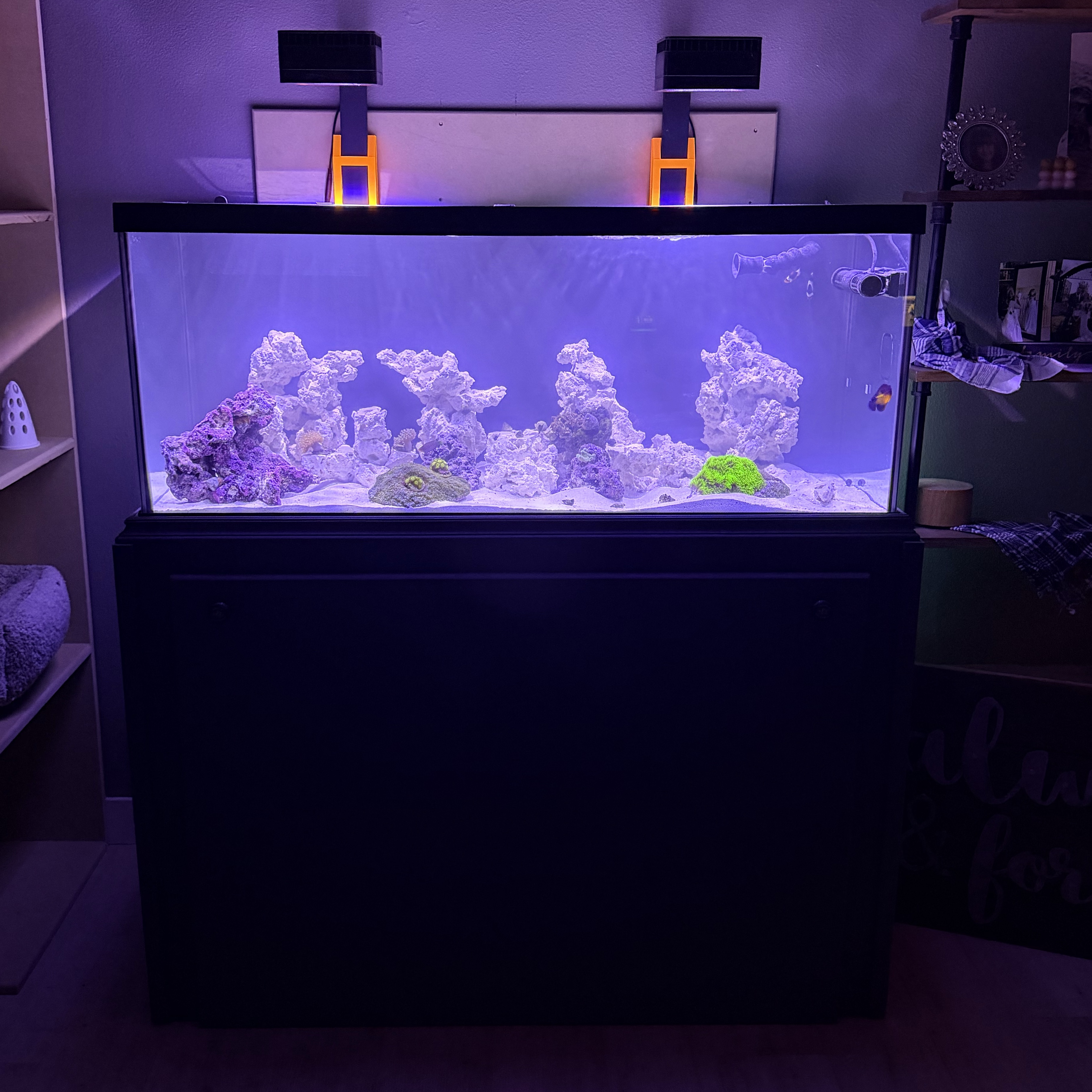 Tank Image