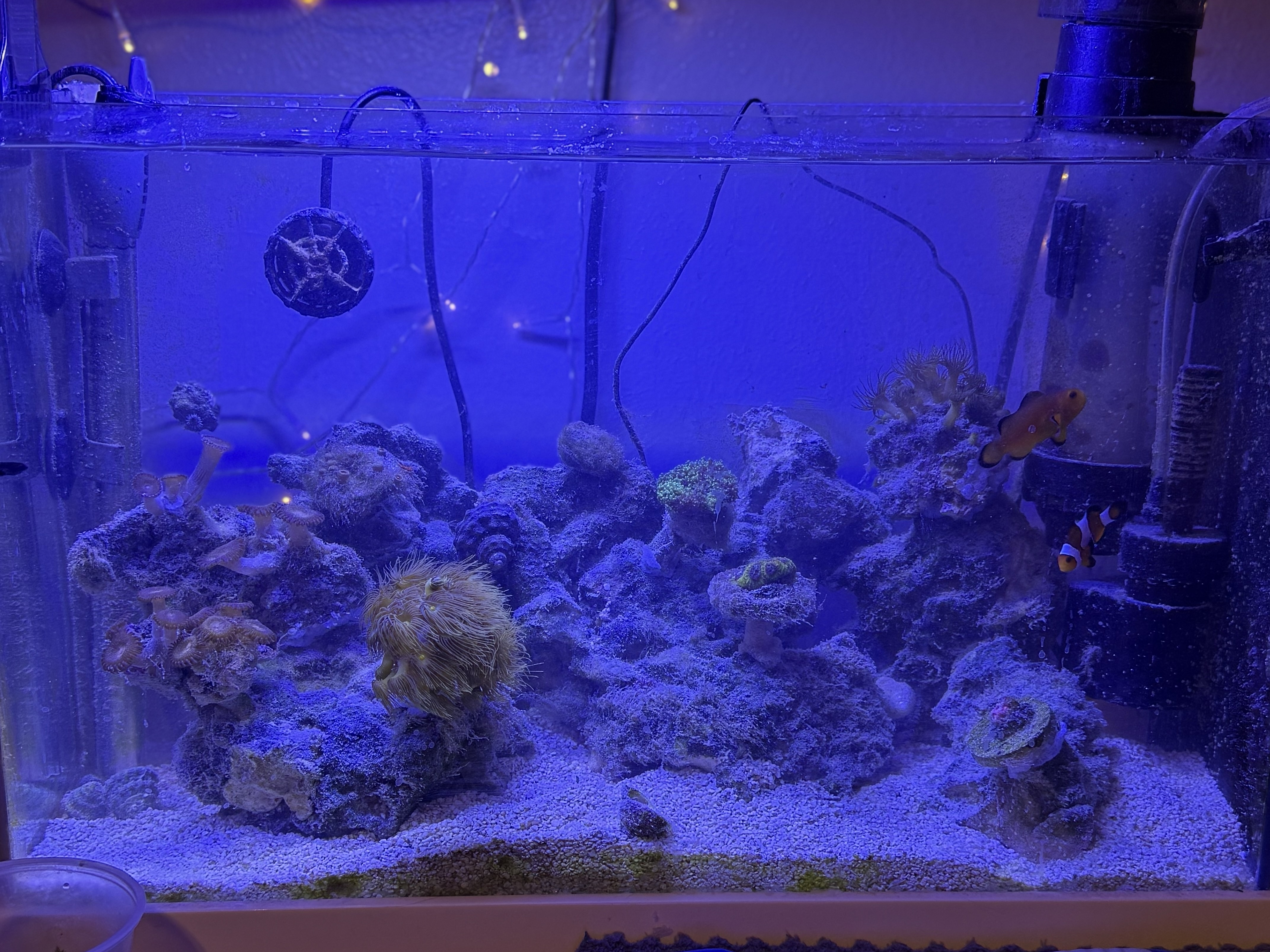 Tank Image