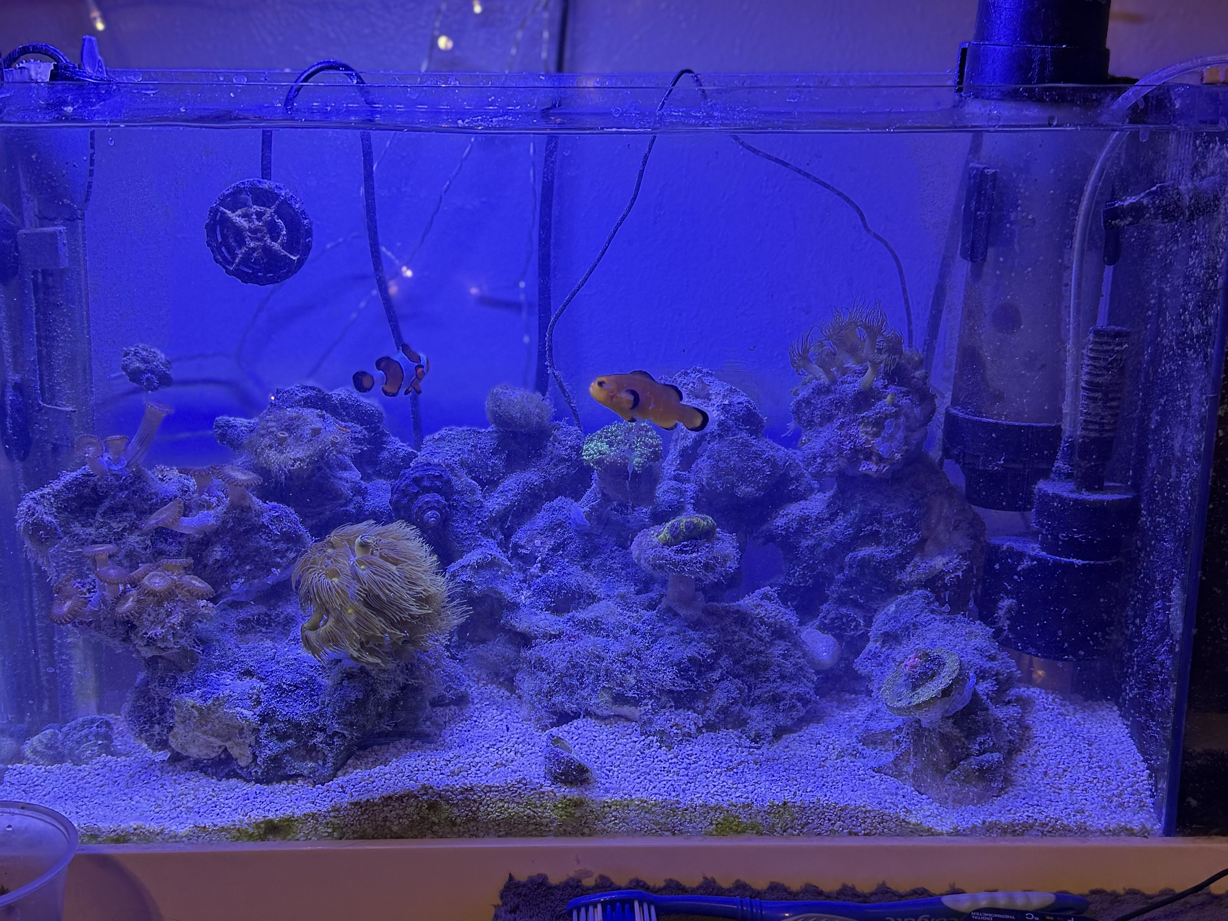 Tank Image