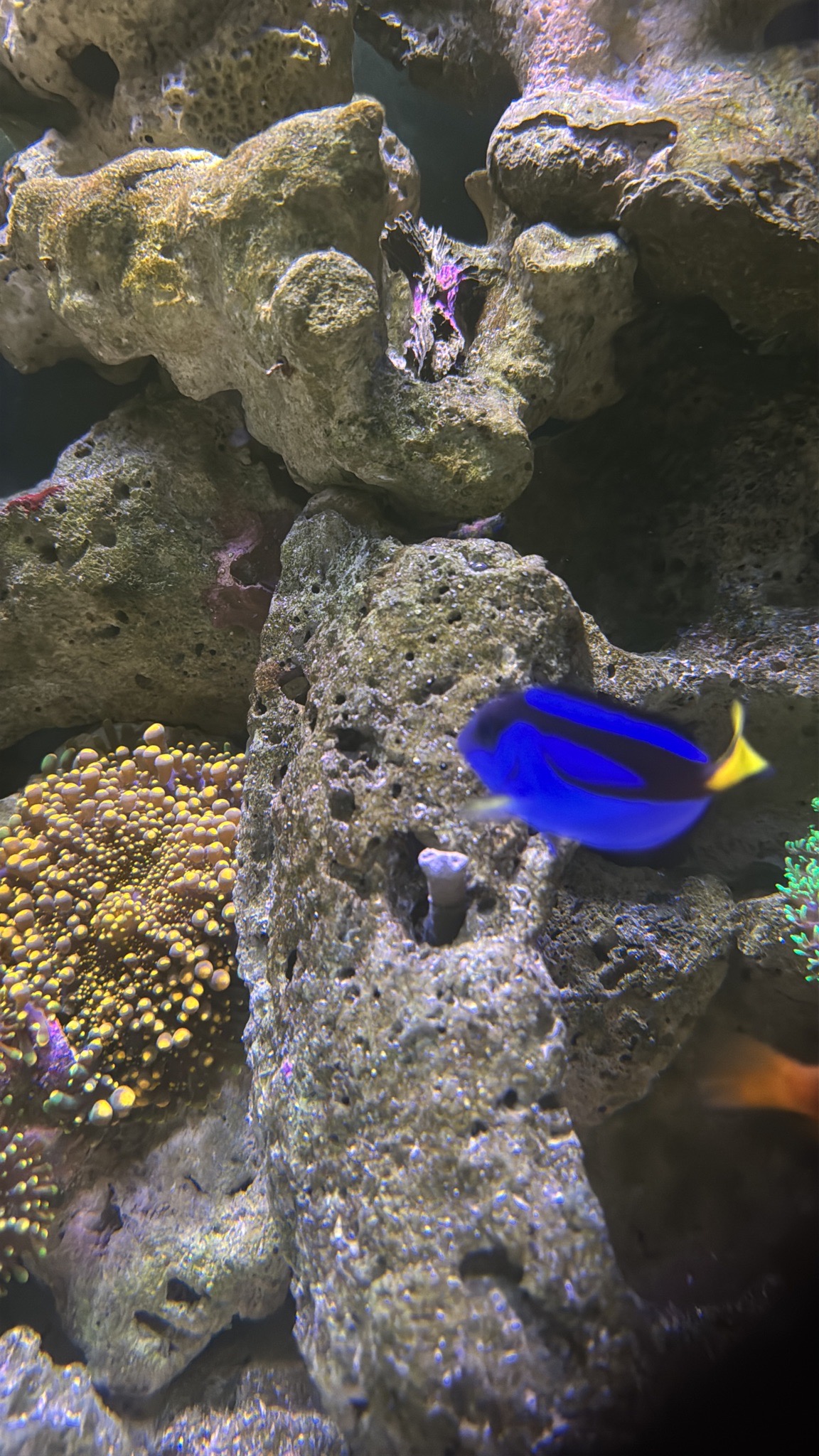 ReefBay post