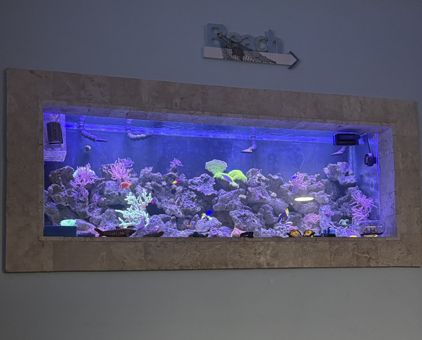 Tank Image