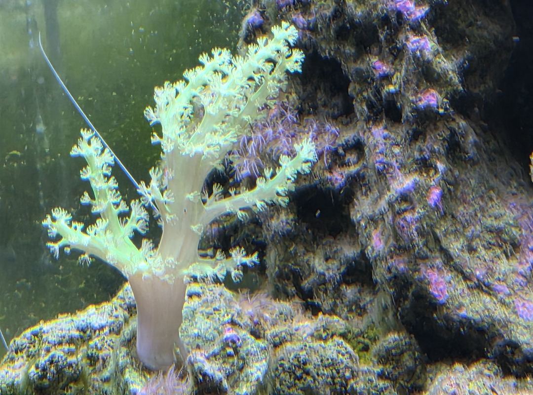 Tank Image