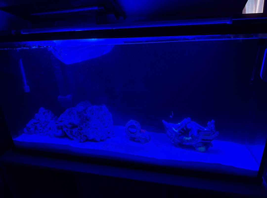 Tank Image