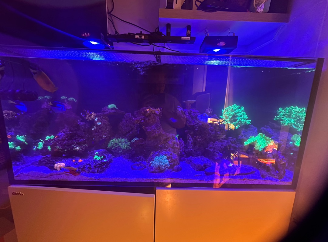Tank Image