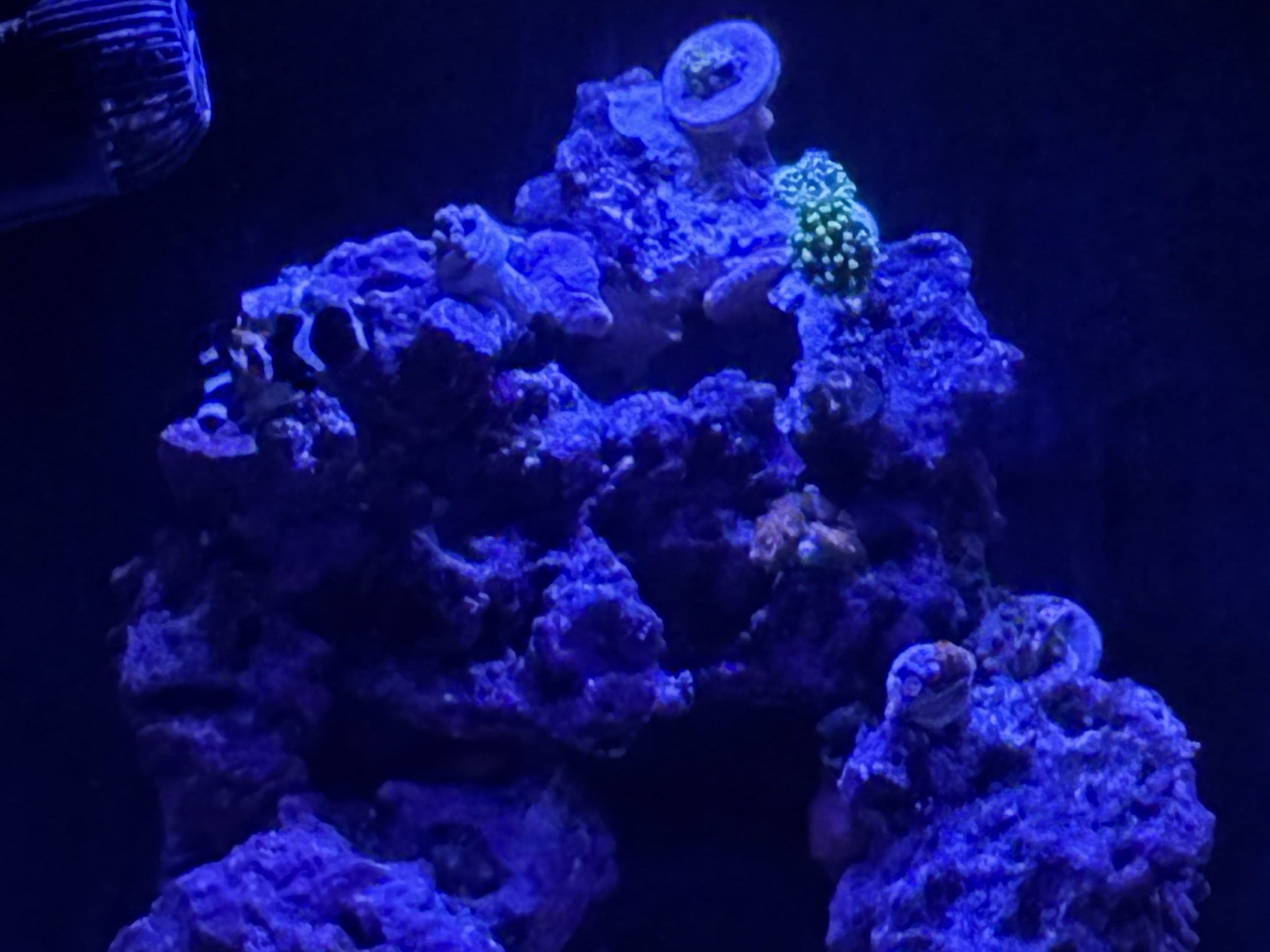 Tank Image